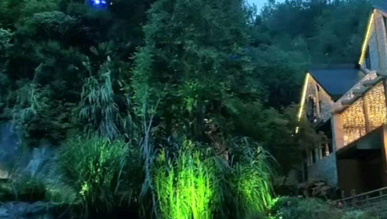 了解如何做一个简单的家庭糕点?知识星球,深度探索热门话题